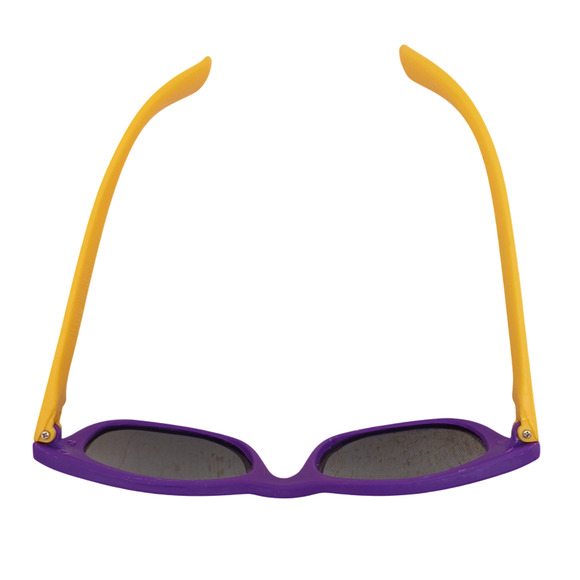 University of Washington Rose Bowl 1992 UW Alumni Association Sunglasses - Picture 6 of 10